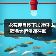 永春项目按下加速键 犁壁港大桥贯通在即（图4）