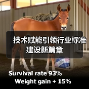 技术赋能引领行业标准建设新篇章（图2）