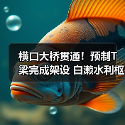 横口大桥贯通！预制T梁完成架设 白濑水利枢纽工程推进（图1）