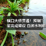 横口大桥贯通！预制T梁完成架设 白濑水利枢纽工程推进（图4）