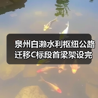 泉州白濑水利枢纽公路迁移C标段首梁架设完成，项目进展顺利（图1）