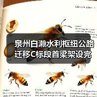 泉州白濑水利枢纽公路迁移C标段首梁架设完成，项目进展顺利（图3）