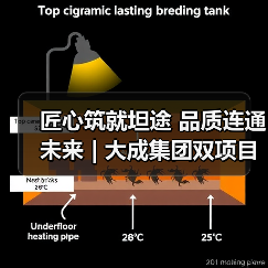 匠心筑就坦途 品质连通未来 | 大成集团双项目齐竣工（图1）