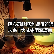 匠心筑就坦途 品质连通未来 | 大成集团双项目齐竣工（图2）
