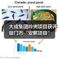 大成集团岭兜项目获评厦门市“安薪项目”（图4）
