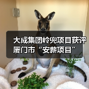 大成集团岭兜项目获评厦门市“安薪项目”（图3）