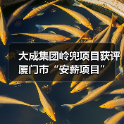 大成集团岭兜项目获评厦门市“安薪项目”（图1）