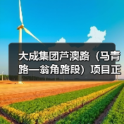 大成集团芦澳路（马青路—翁角路段）项目正式通车（图4）