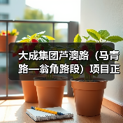 大成集团芦澳路（马青路—翁角路段）项目正式通车（图3）