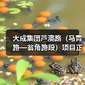 大成集团芦澳路（马青路—翁角路段）项目正式通车（图1）