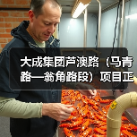 大成集团芦澳路（马青路—翁角路段）项目正式通车（图2）