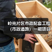 岭兜片区市政配套工程(市政道路)一期项目顺利通过竣工验收(图3) 岭兜片区市政配套工程(市政道路)一期项目顺利通过竣工验收(图3)