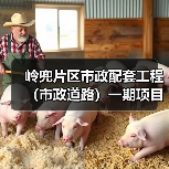 岭兜片区市政配套工程(市政道路)一期项目顺利通过竣工验收(图4) 岭兜片区市政配套工程(市政道路)一期项目顺利通过竣工验收(图4)