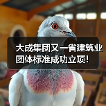 大成集团又一省建筑业团体标准成功立项！（图2）