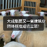大成集团又一省建筑业团体标准成功立项！（图1）