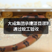 大成集团承建项目顺利通过竣工验收（图2）