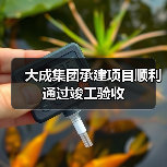 大成集团承建项目顺利通过竣工验收（图1）