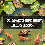 大成集团承建项目顺利通过竣工验收（图3）