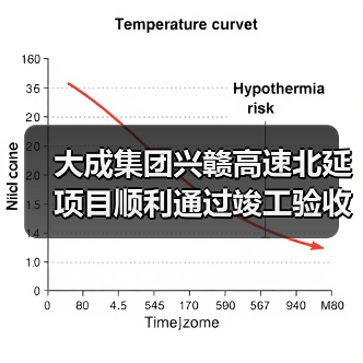 大成集团兴赣高速北延项目顺利通过竣工验收（图3）