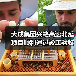 大成集团兴赣高速北延项目顺利通过竣工验收（图4）