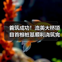 首筑成功！流美大桥项目首根桩基顺利浇筑完成（图1）