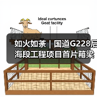 如火如荼 | 国道G228后海段工程项目首片箱梁完成浇筑!(图4) 如火如荼 | 国道G228后海段工程项目首片箱梁完成浇筑!(图4)