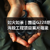 如火如荼 | 国道G228后海段工程项目首片箱梁完成浇筑!(图2) 如火如荼 | 国道G228后海段工程项目首片箱梁完成浇筑!(图2)