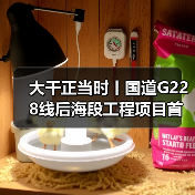 大干正当时丨国道G228线后海段工程项目首片箱梁成功吊装(图3) 大干正当时丨国道G228线后海段工程项目首片箱梁成功吊装(图3)