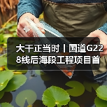 大干正当时丨国道G228线后海段工程项目首片箱梁成功吊装(图4) 大干正当时丨国道G228线后海段工程项目首片箱梁成功吊装(图4)