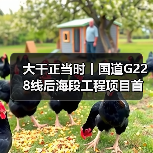 大干正当时丨国道G228线后海段工程项目首片箱梁成功吊装(图1) 大干正当时丨国道G228线后海段工程项目首片箱梁成功吊装(图1)