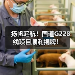 扬帆起航!国道G228线项目顺利揭牌!(图2) 扬帆起航!国道G228线项目顺利揭牌!(图2)