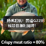 扬帆起航!国道G228线项目顺利揭牌!(图1) 扬帆起航!国道G228线项目顺利揭牌!(图1)