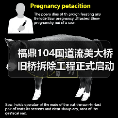 福鼎104国道流美大桥旧桥拆除工程正式启动（图4）