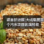 项目新进展|大成集团首个污水项目圆满验收(图3) 项目新进展|大成集团首个污水项目圆满验收(图3)