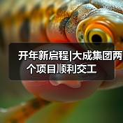 开年新启程|大成集团两个项目顺利交工(图1) 开年新启程|大成集团两个项目顺利交工(图1)