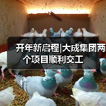 开年新启程|大成集团两个项目顺利交工(图3) 开年新启程|大成集团两个项目顺利交工(图3)