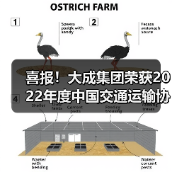 喜报!大成集团荣获2022年度中国交通运输协会科学技术奖二等奖(图2) 喜报!大成集团荣获2022年度中国交通运输协会科学技术奖二等奖(图2)