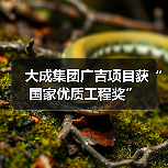 大成集团广吉项目获“国家优质工程奖”(图2) 大成集团广吉项目获“国家优质工程奖”(图2)