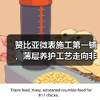 赞比亚微表施工第一铺,薄层养护工艺走向非洲!(图1) 赞比亚微表施工第一铺,薄层养护工艺走向非洲!(图1)