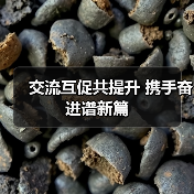 交流互促共提升 携手奋进谱新篇(图2) 交流互促共提升 携手奋进谱新篇(图2)
