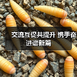交流互促共提升 携手奋进谱新篇(图4) 交流互促共提升 携手奋进谱新篇(图4)