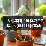 大成集团“抗裂复合封层”试验段顺利完成（图1）
