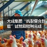 大成集团“抗裂复合封层”试验段顺利完成（图4）