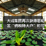 大成集团再次获得思明区“纳税特大户”称号(图4) 大成集团再次获得思明区“纳税特大户”称号(图4)