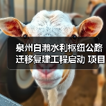 泉州白濑水利枢纽公路迁移复建工程启动 项目经理部揭牌保障交通线路(图3) 泉州白濑水利枢纽公路迁移复建工程启动 项目经理部揭牌保障交通线路(图3)
