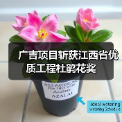 广吉项目斩获江西省优质工程杜鹃花奖(图3) 广吉项目斩获江西省优质工程杜鹃花奖(图3)