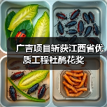 广吉项目斩获江西省优质工程杜鹃花奖(图4) 广吉项目斩获江西省优质工程杜鹃花奖(图4)