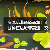 海沧疏港通道通车!8分钟直达厦蓉高速,交通升级迎来新便利(图1) 海沧疏港通道通车!8分钟直达厦蓉高速,交通升级迎来新便利(图1)