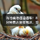 海沧疏港通道通车!8分钟直达厦蓉高速,交通升级迎来新便利(图4) 海沧疏港通道通车!8分钟直达厦蓉高速,交通升级迎来新便利(图4)