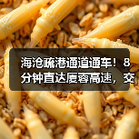 海沧疏港通道通车!8分钟直达厦蓉高速,交通升级迎来新便利(图2) 海沧疏港通道通车!8分钟直达厦蓉高速,交通升级迎来新便利(图2)